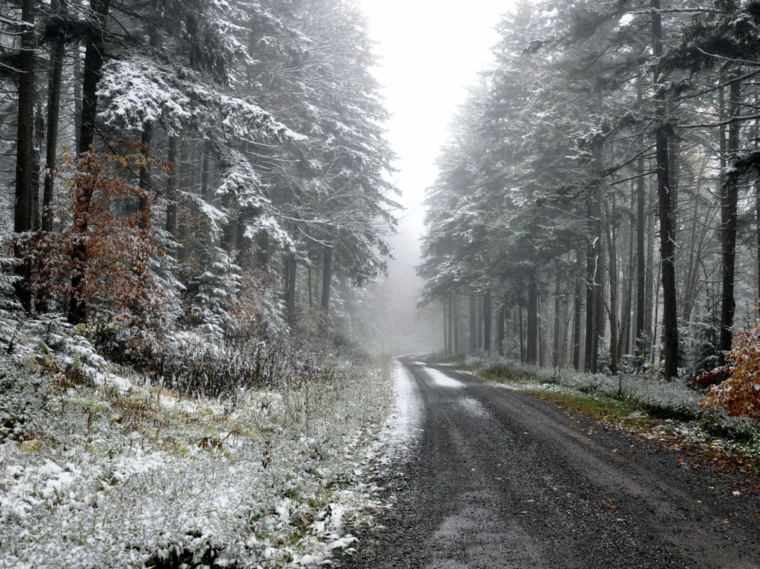 Cass旅游攻略图片