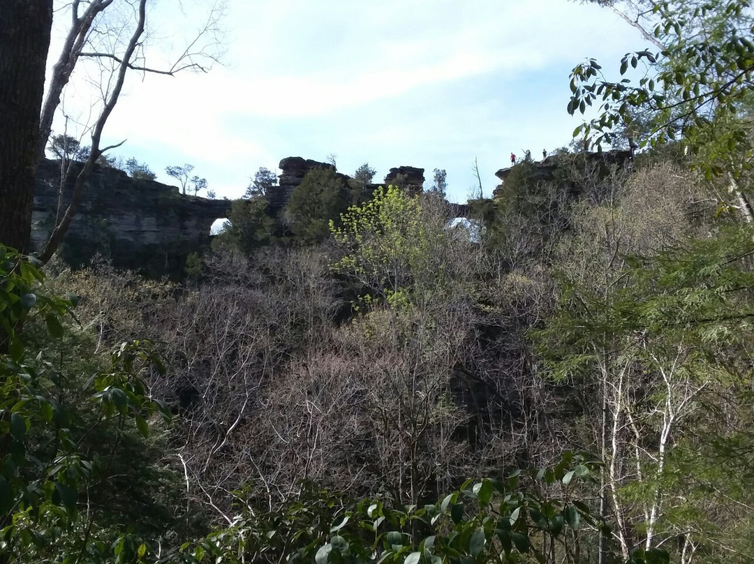 Silver Point旅游景点-Window Cliffs State Natural Area
