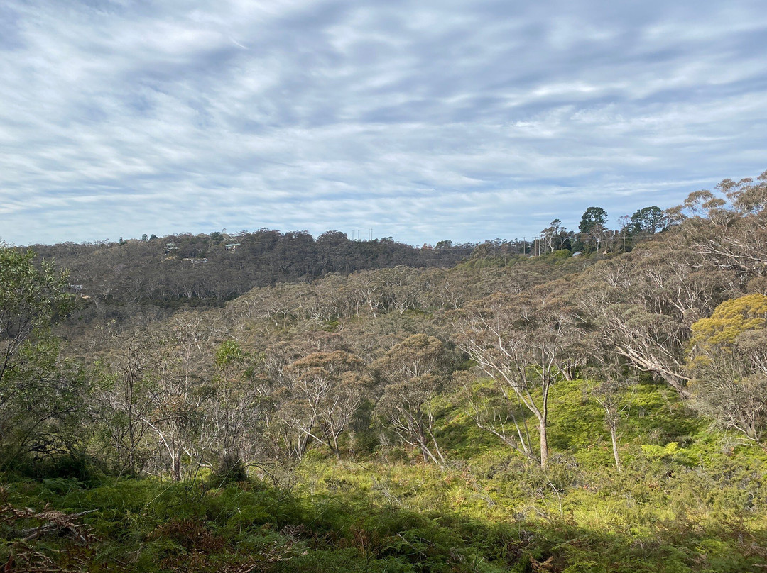 North Lawson Park景点图片