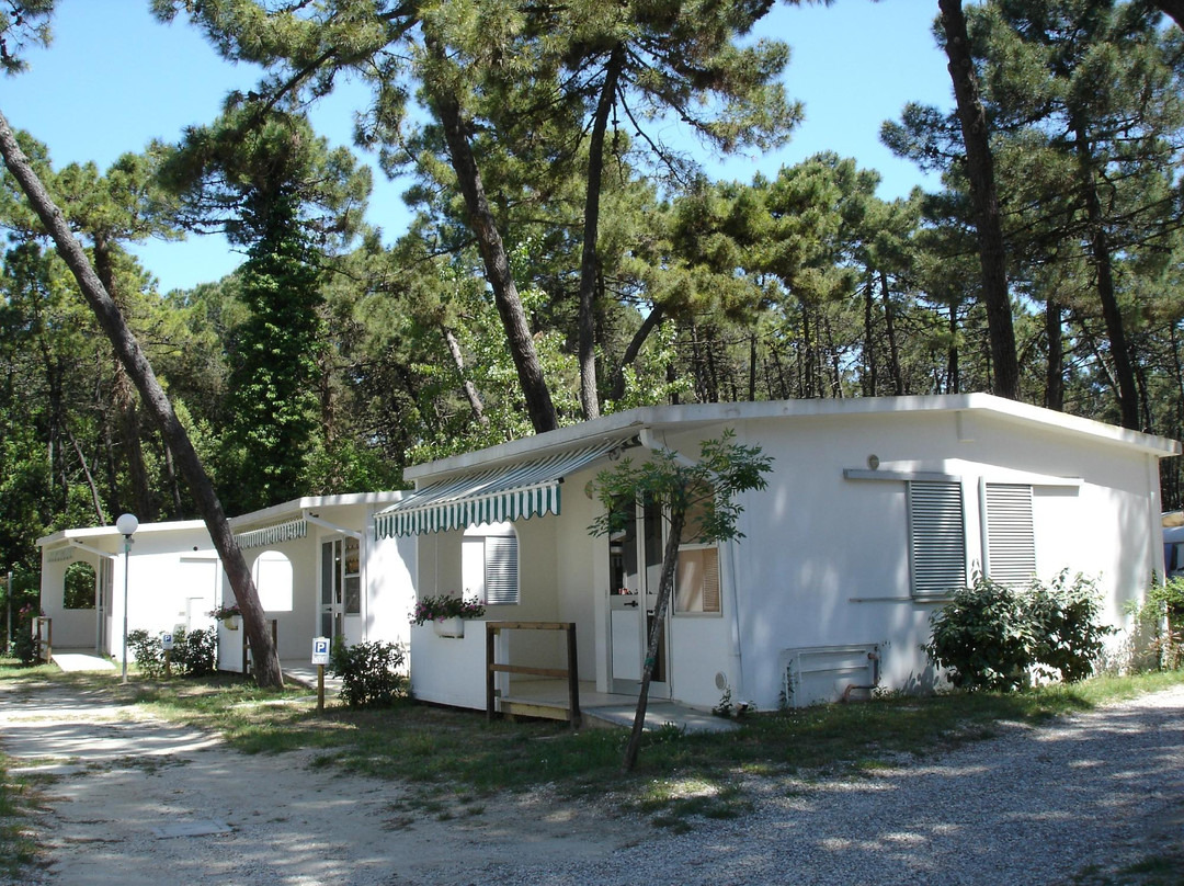 Club Del Sole 玛里纳罗米亚简易露营村