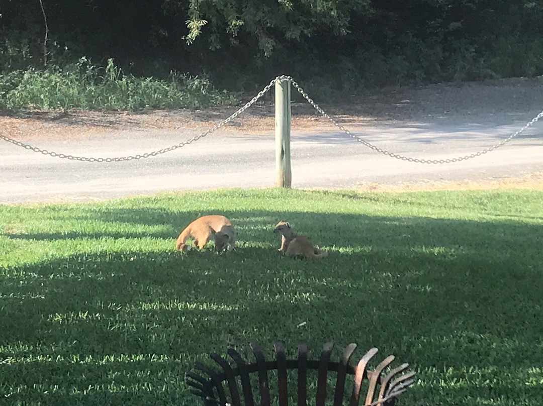Orania旅游攻略图片