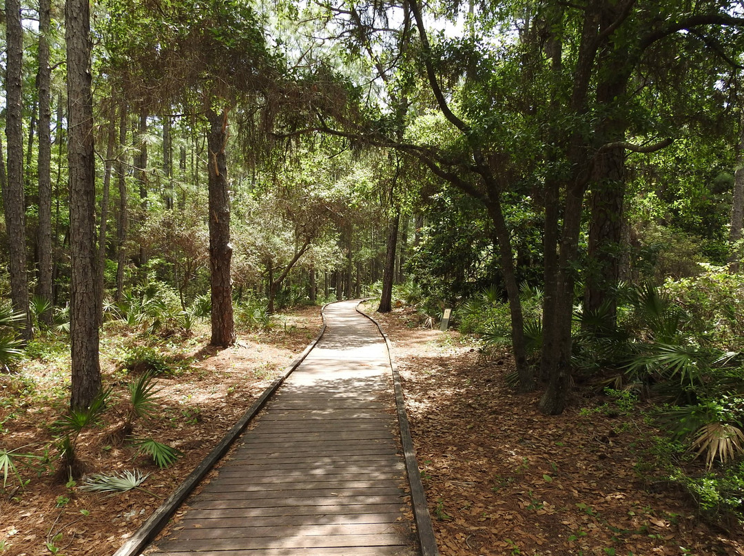 Dauphin Island Audubon Bird Sanctuary景点图片