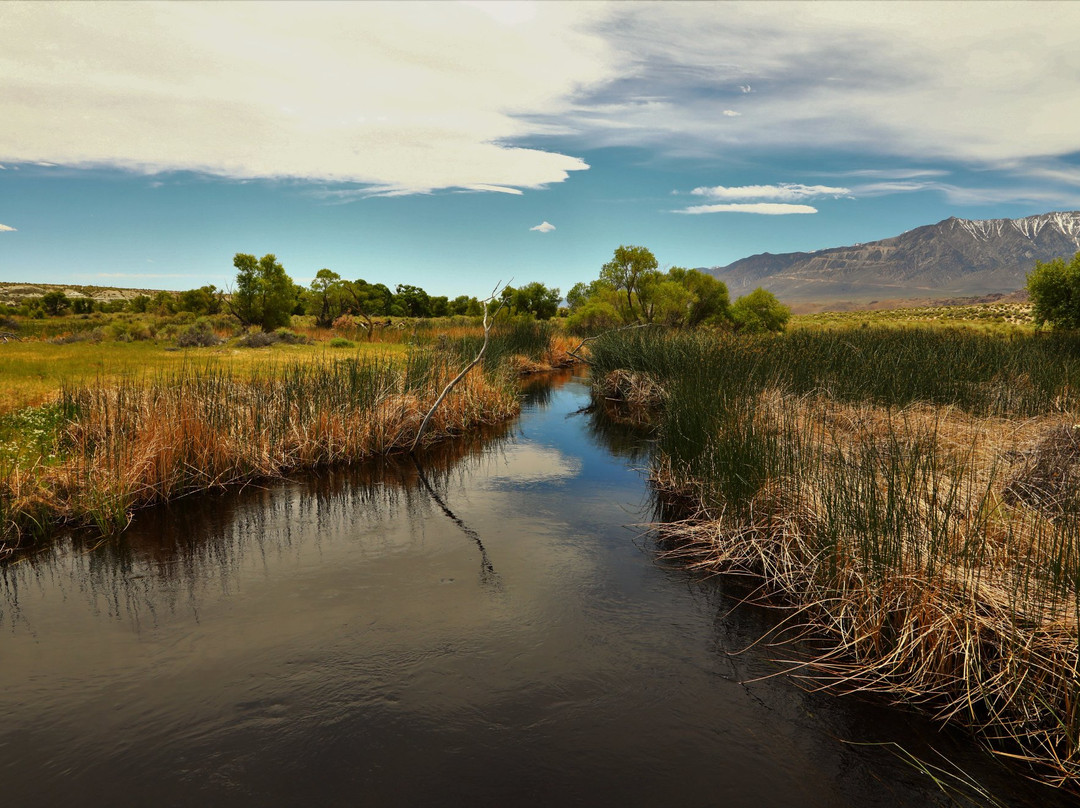 隆派恩旅游景点-Owens River