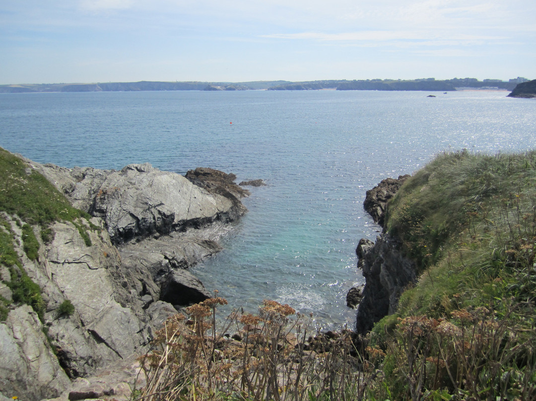 Wavecrest Scuba-纽奎必去景点