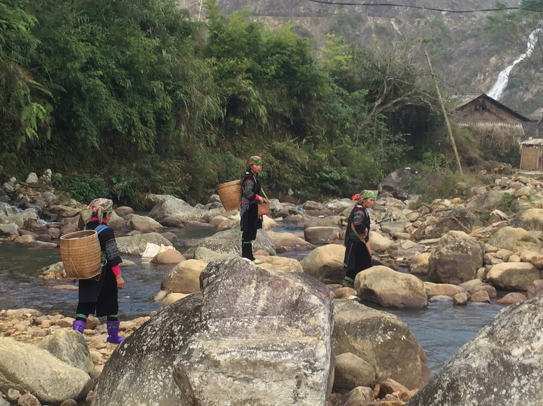 Real Sapa