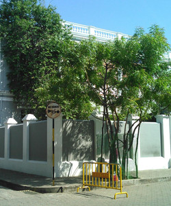 Sri Aurobindo Ashram景点门票图片