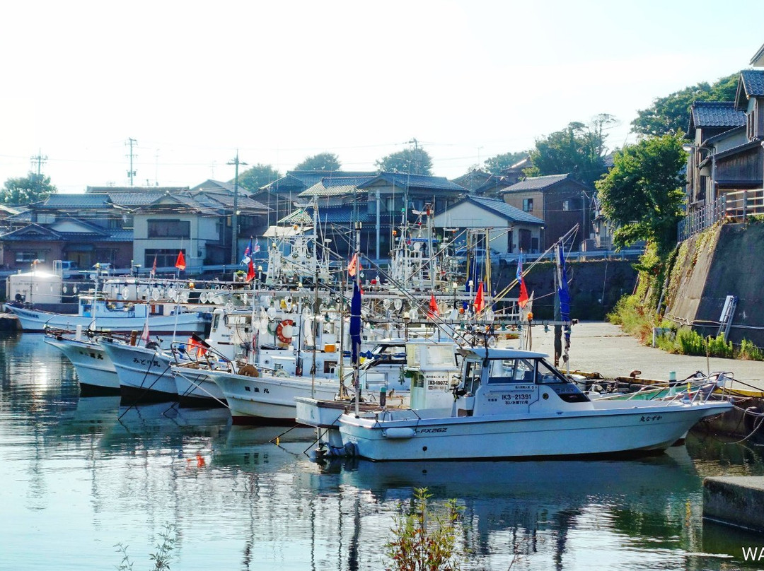 Hashidate Fish Port Area景点图片