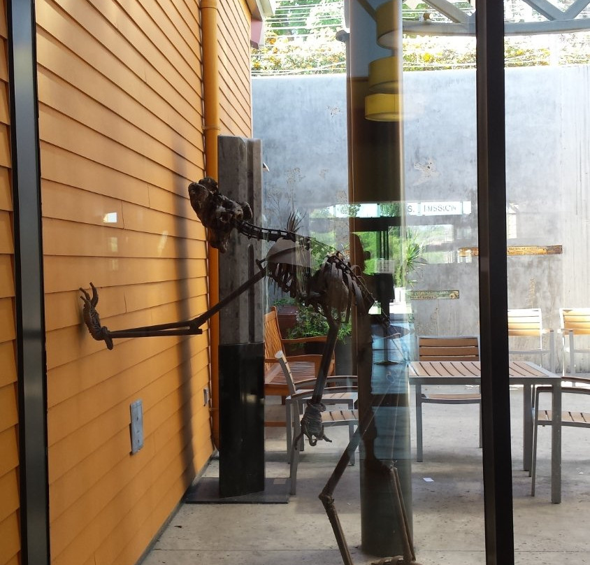 The Fallbrook Library