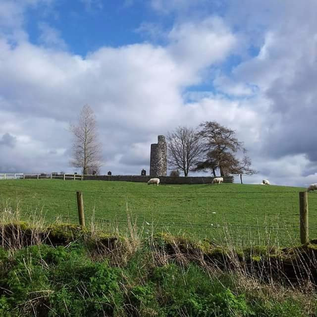Old Kilcullen Round Tower and High Cross景点图片
