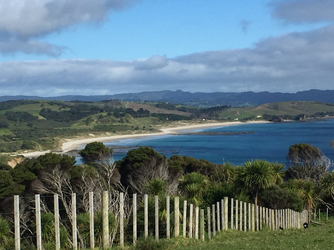 Beautiful Nature Tours Auckland-奥克兰中心地区必去景点
