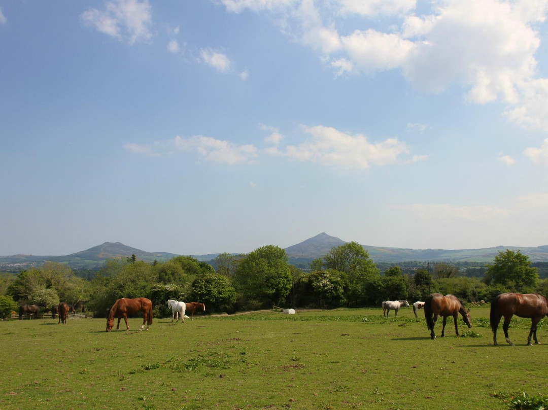 Killegar Stables Riding School