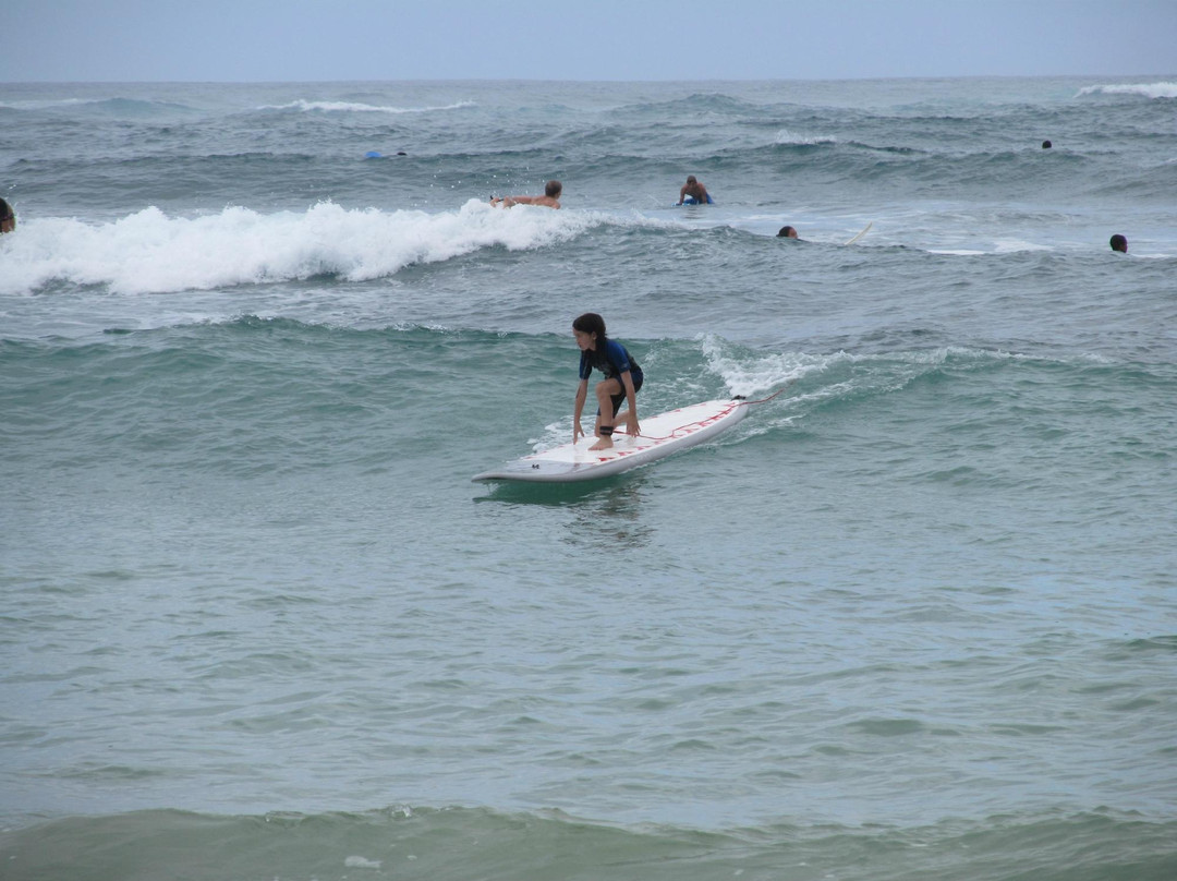 Go Nuts Hawaii-哈雷瓦必去景点