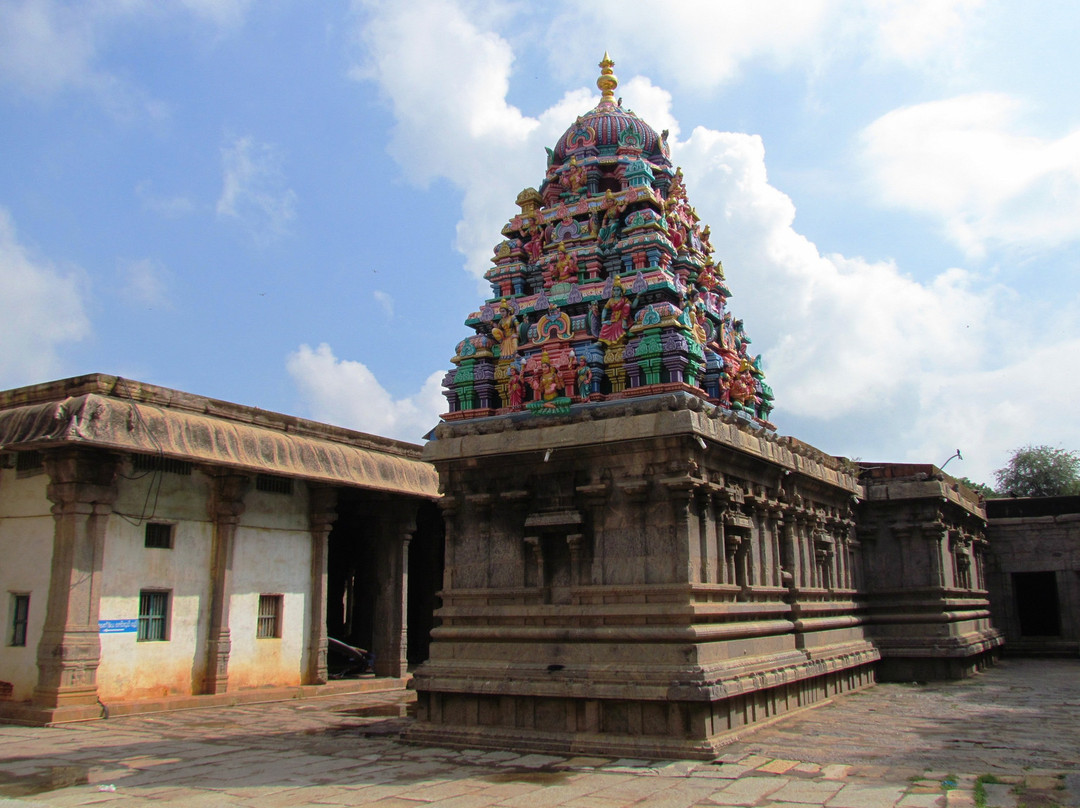 Bhuvaraha Swami Temple景点图片