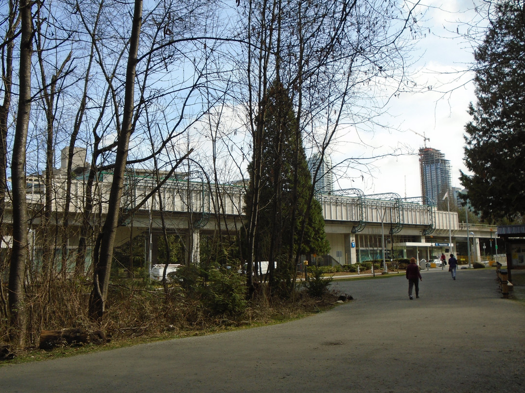 Central Park-本那比必去景点