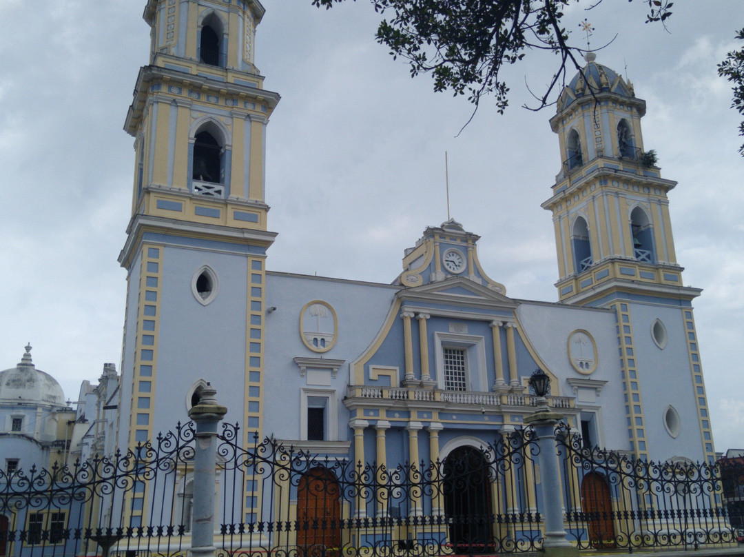 Catedral De La Inmaculada Concepcion景点图片