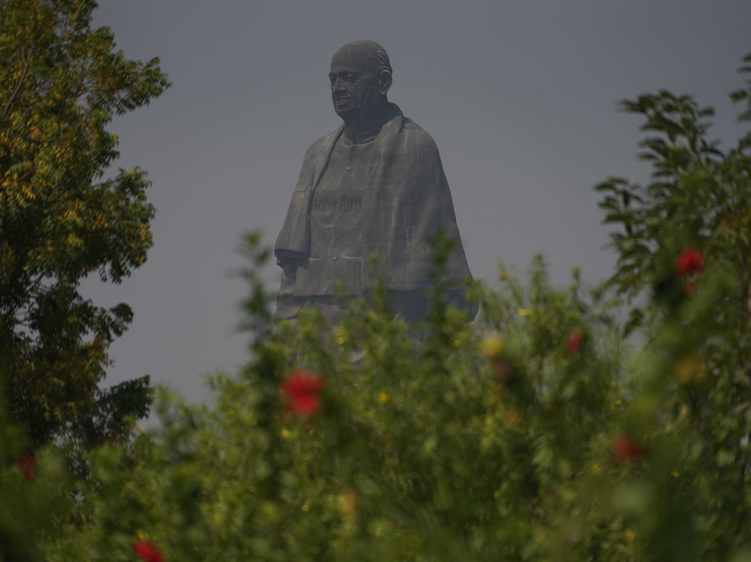 Valley of Flowers景点图片