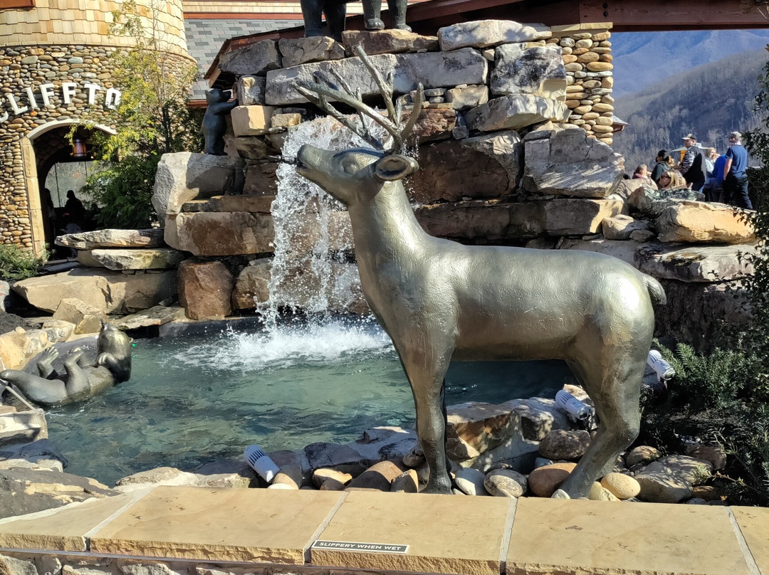 Anakeesta-盖林柏格必去景点