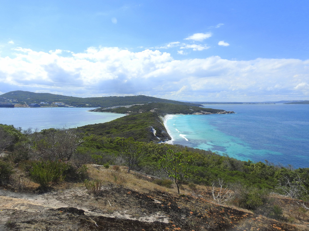 Quaranup-Point Possession Trail-奥尔巴尼必去景点