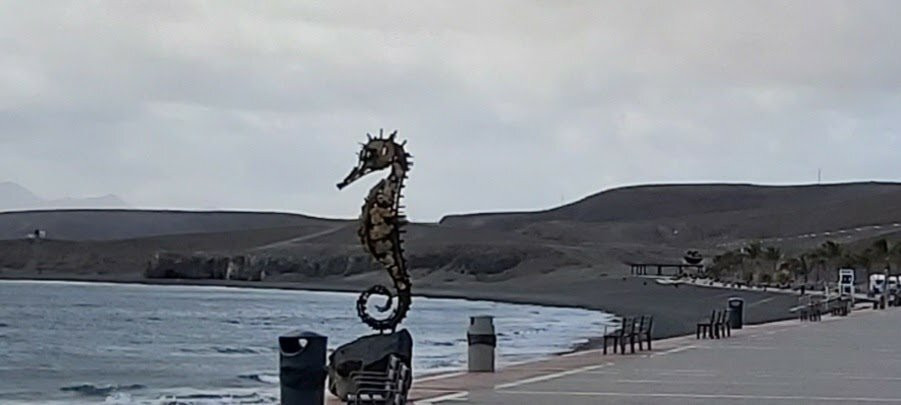 Statue Of A Seahorse景点图片