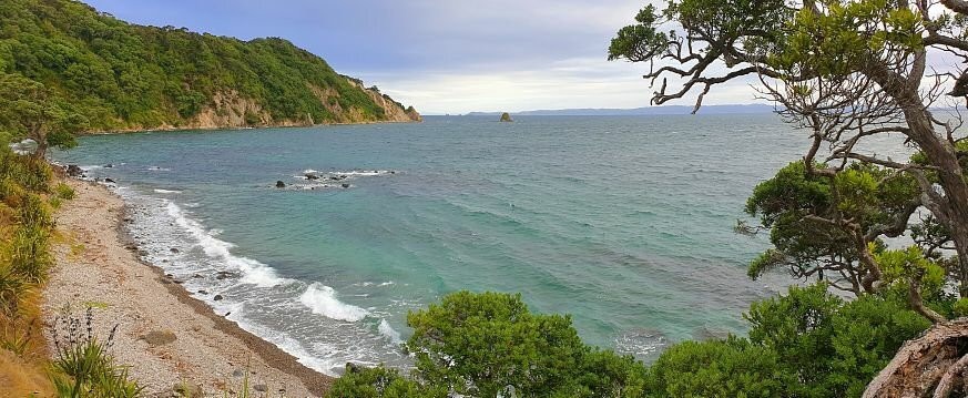 Smugglers Bay Loop Track景点图片