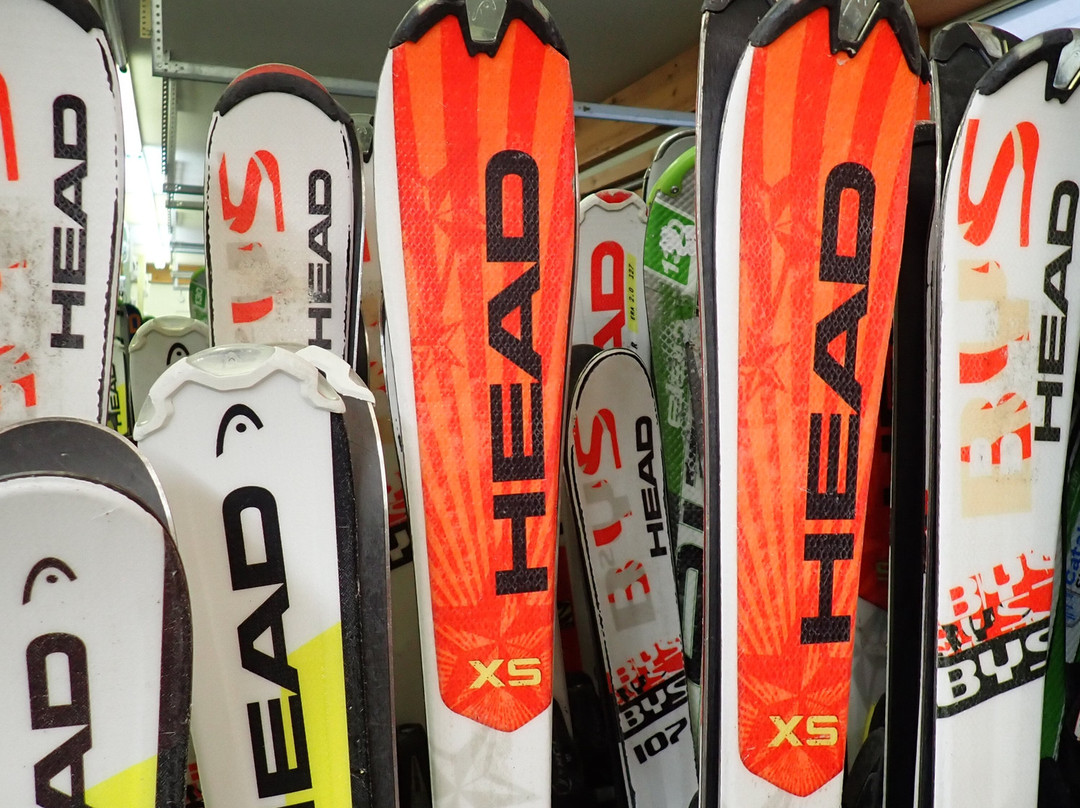 Cataloochee Ski Area景点图片