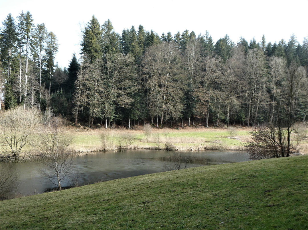 Weiherlandschaft Ostergau
