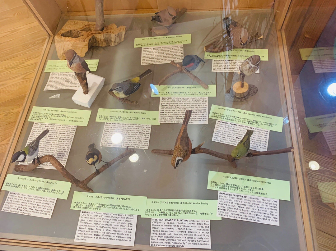 Unzen Oyamano Johokan-云仙市必去景点