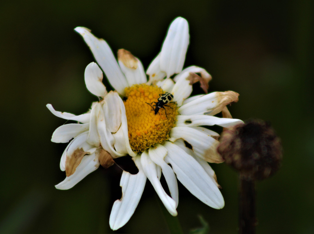 Pousada Salto Sete主图