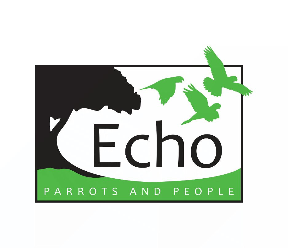 Echo Parrots and People