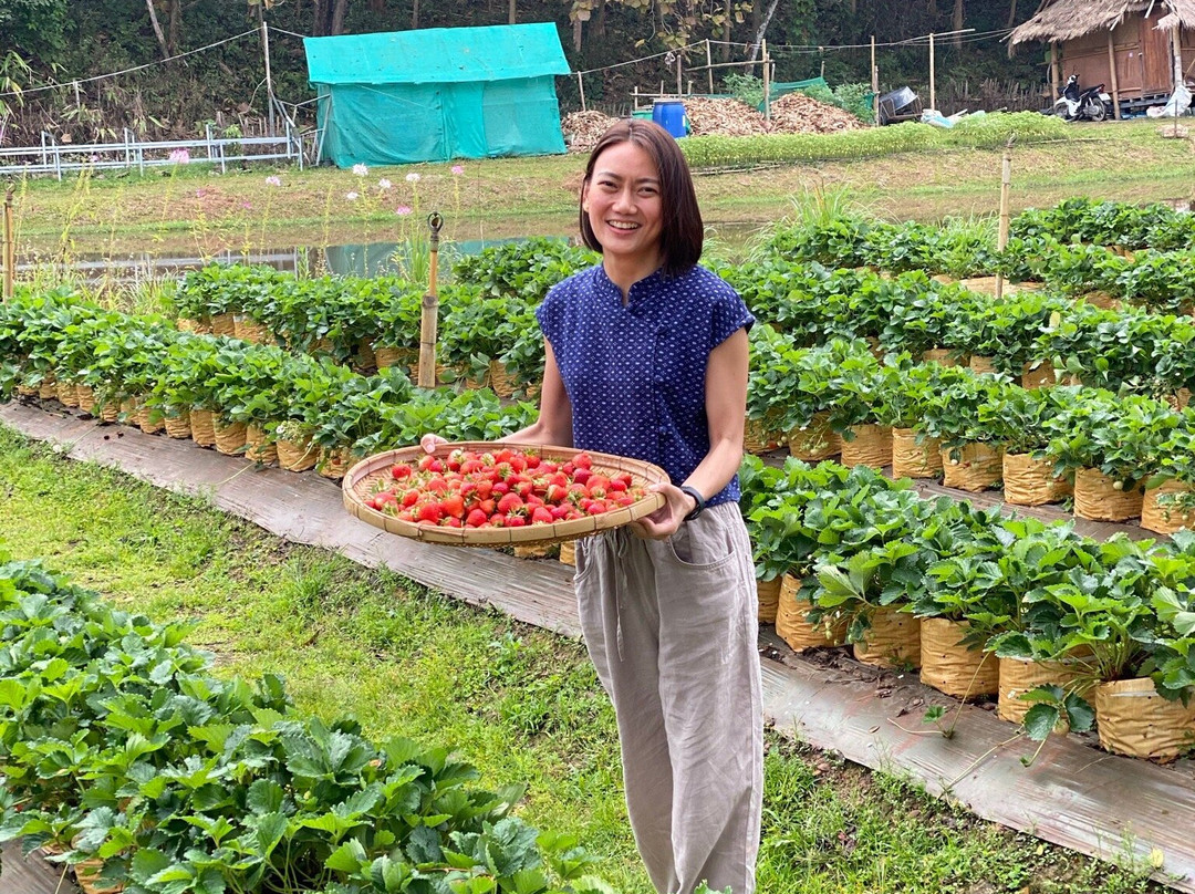Si Kham酒店住宿-Ing Chan Farm