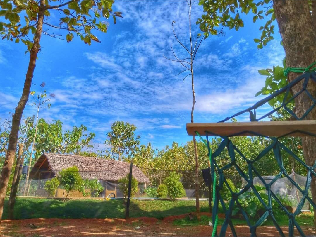 Tectona Resort主图