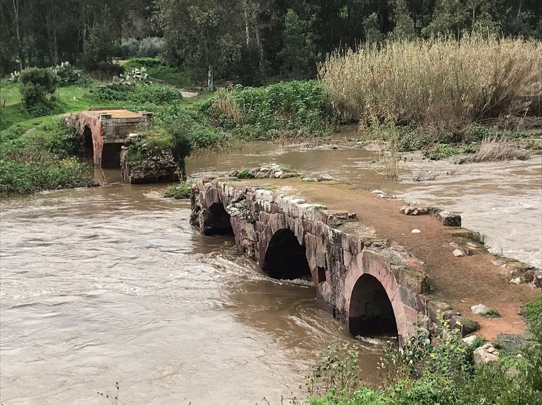 Ponte Romano ( Ponti Ecciu )-Allai必去景点