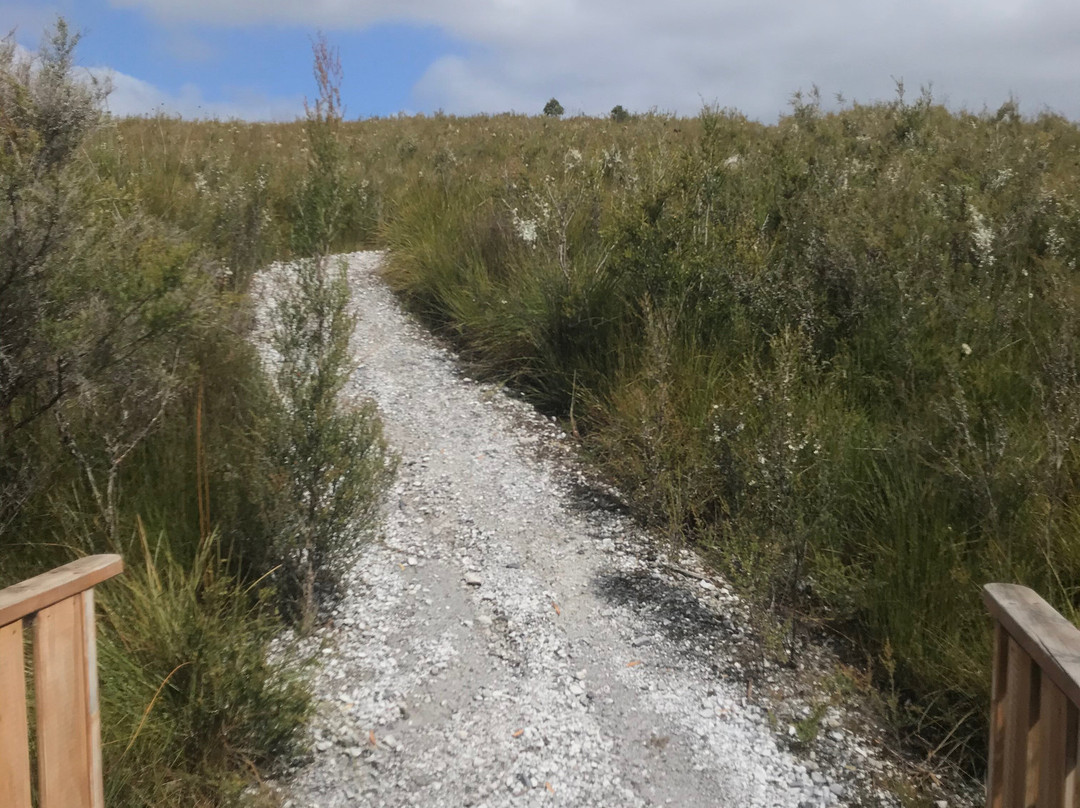 Dempster Plains Lookout-Smithton必去景点