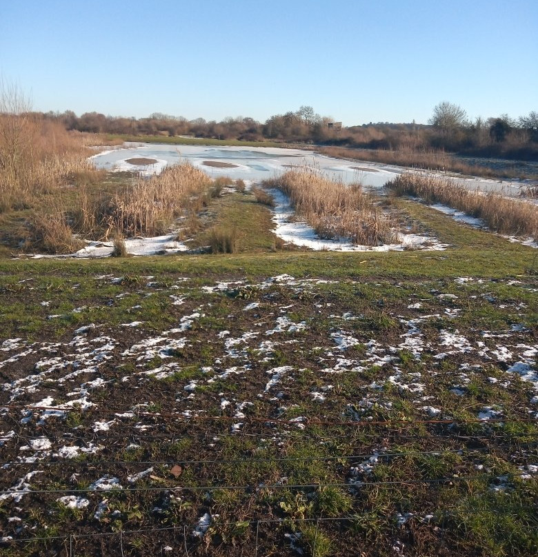 Attenborough Nature Centre景点图片
