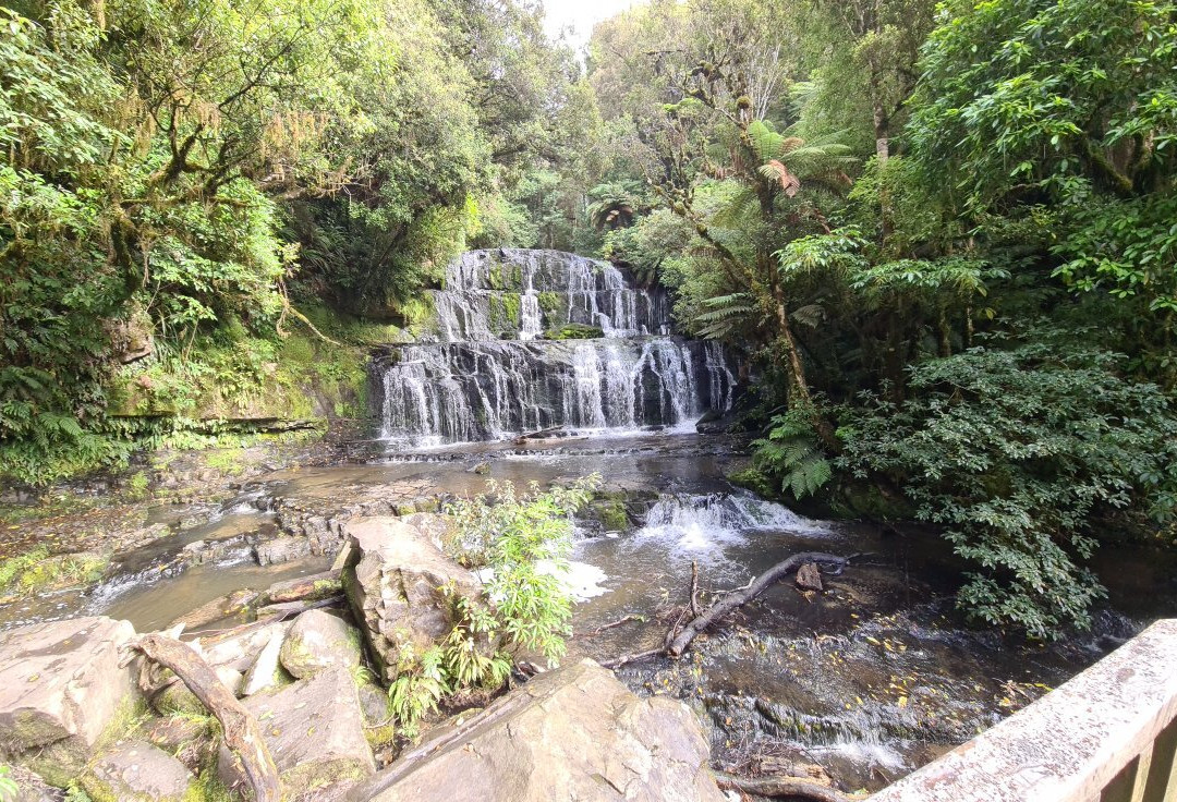 Purakaunui Falls景点图片