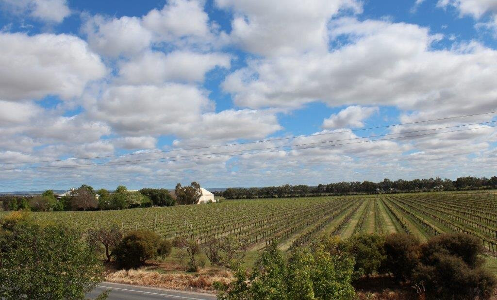 La Maison Du Vigneron