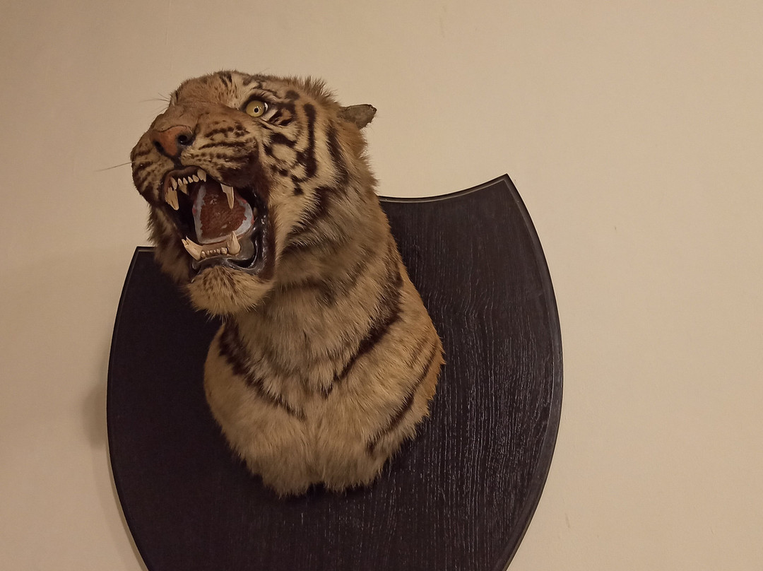 Dowlat Villas Palace主图