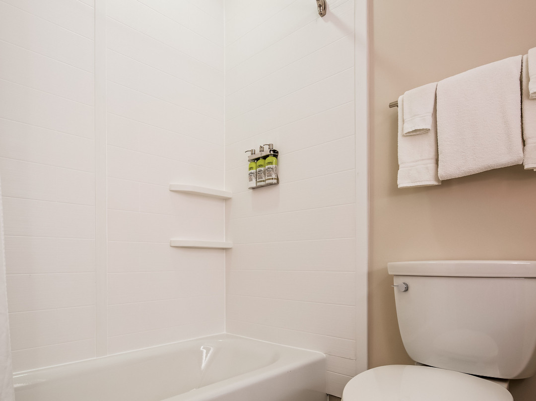 Holiday Inn Express & Suites Detroit - Farmington Hills By IHG主图