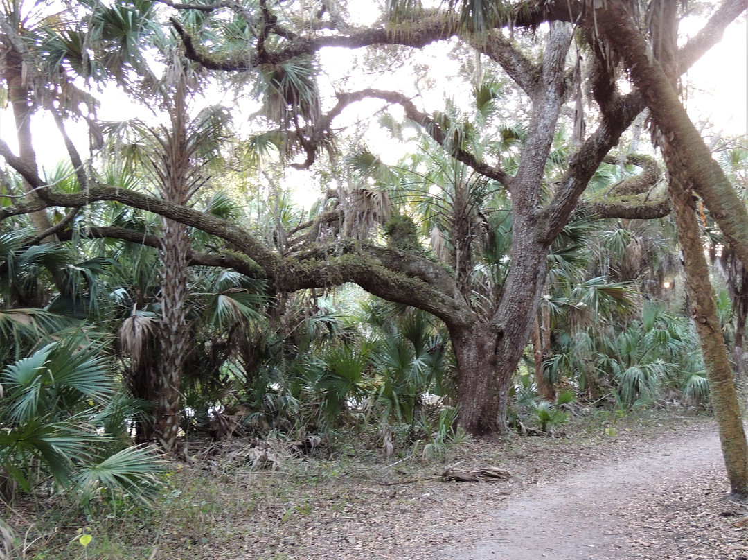Kiwanis Park-夏洛特港必去景点