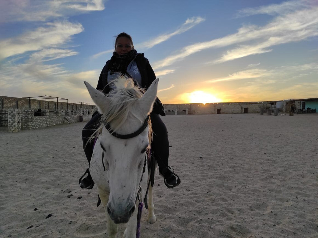 HorseTrips Hurghada-赫尔格达必去景点