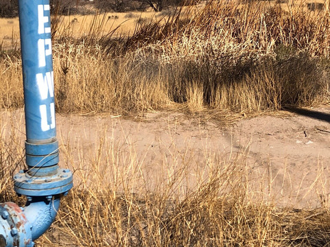 Rio Bosque Wetlands Park-Socorro必去景点