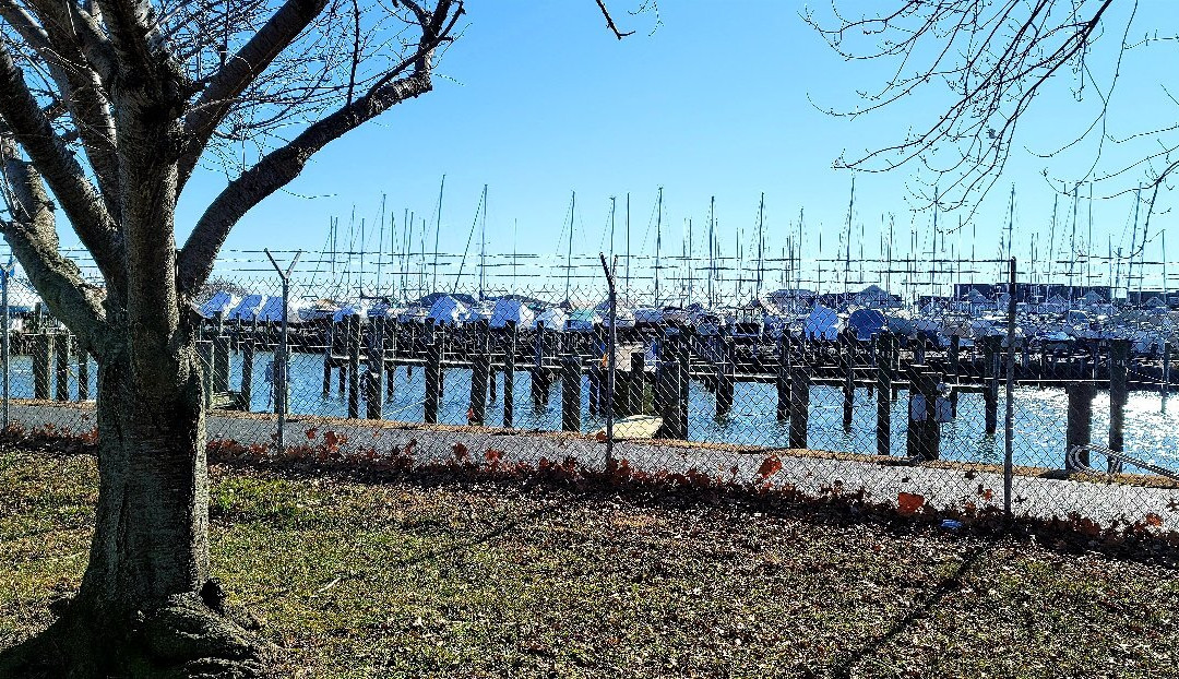 Frank J. Hutchins Memorial Park景点图片