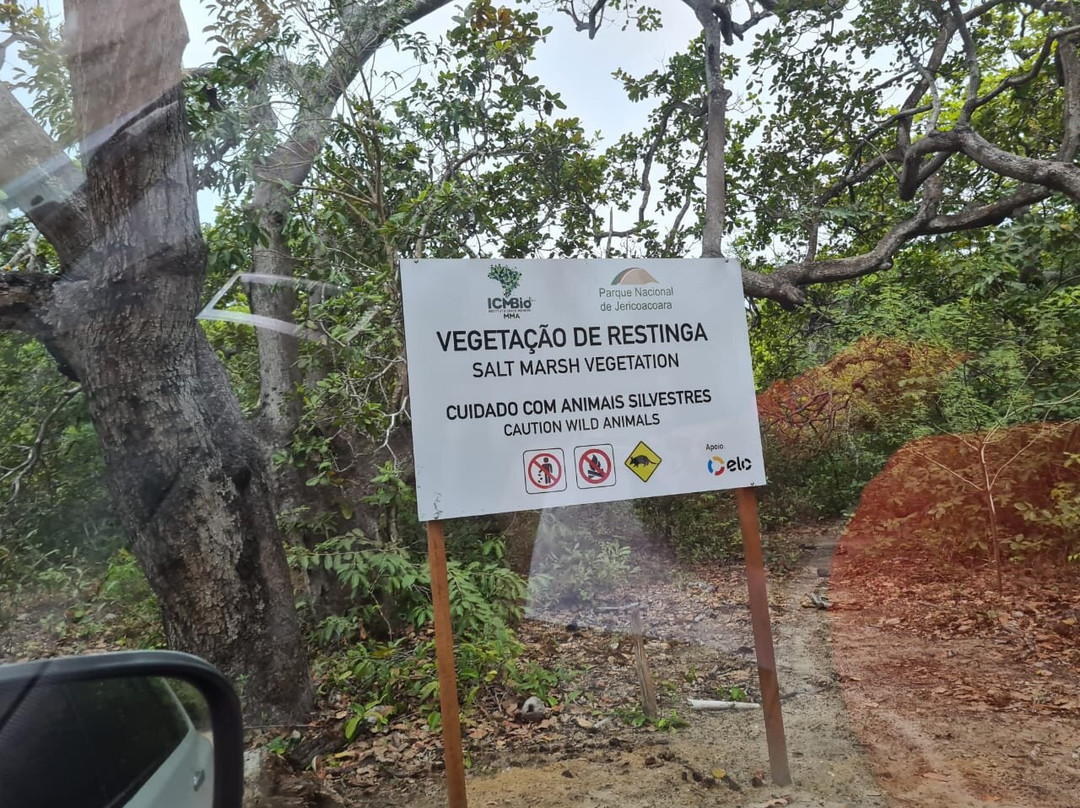 Jericoacoara Transfer - JS TOUR 4X4 JERICOACOARA.-杰里科科拉必去景点