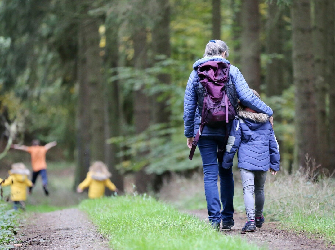 Social Nature Movement (SNM)-奥克兰中心地区必去景点