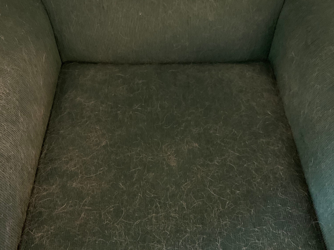 Monarch Mountain Lodge主图