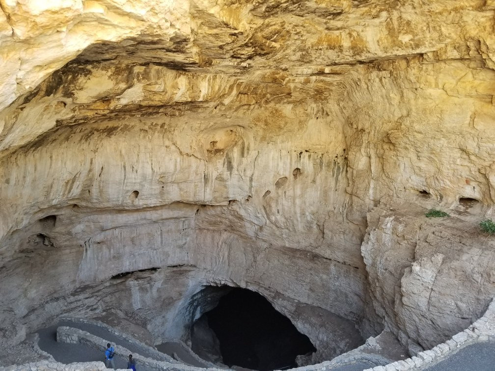 Bat Flight Program in Carlsbad Caverns National Park景点图片