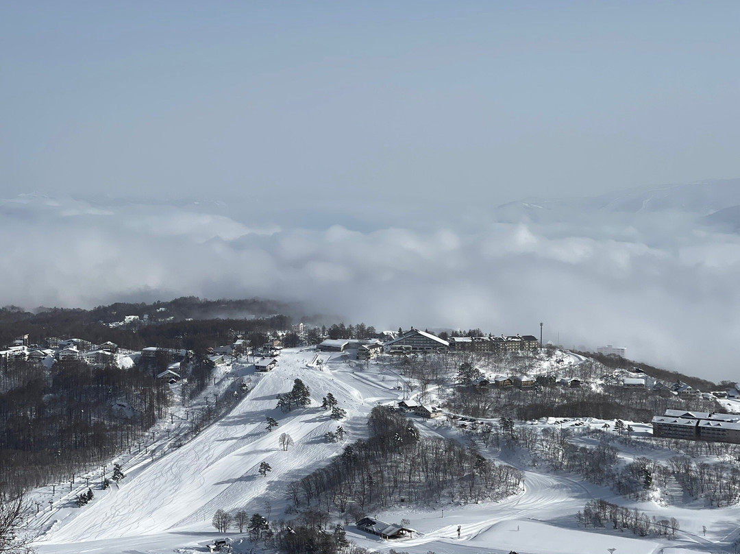 Madarao Mountain Resort-饭山市必去景点