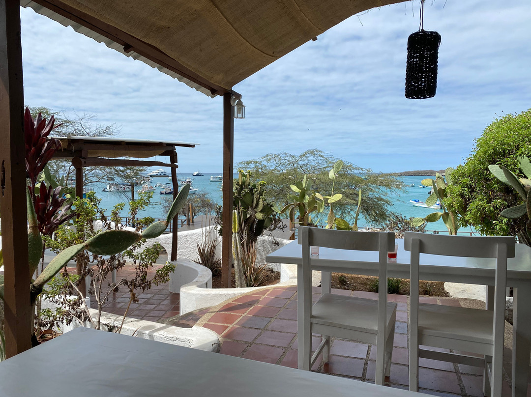 Casa Opuntia Galapagos主图