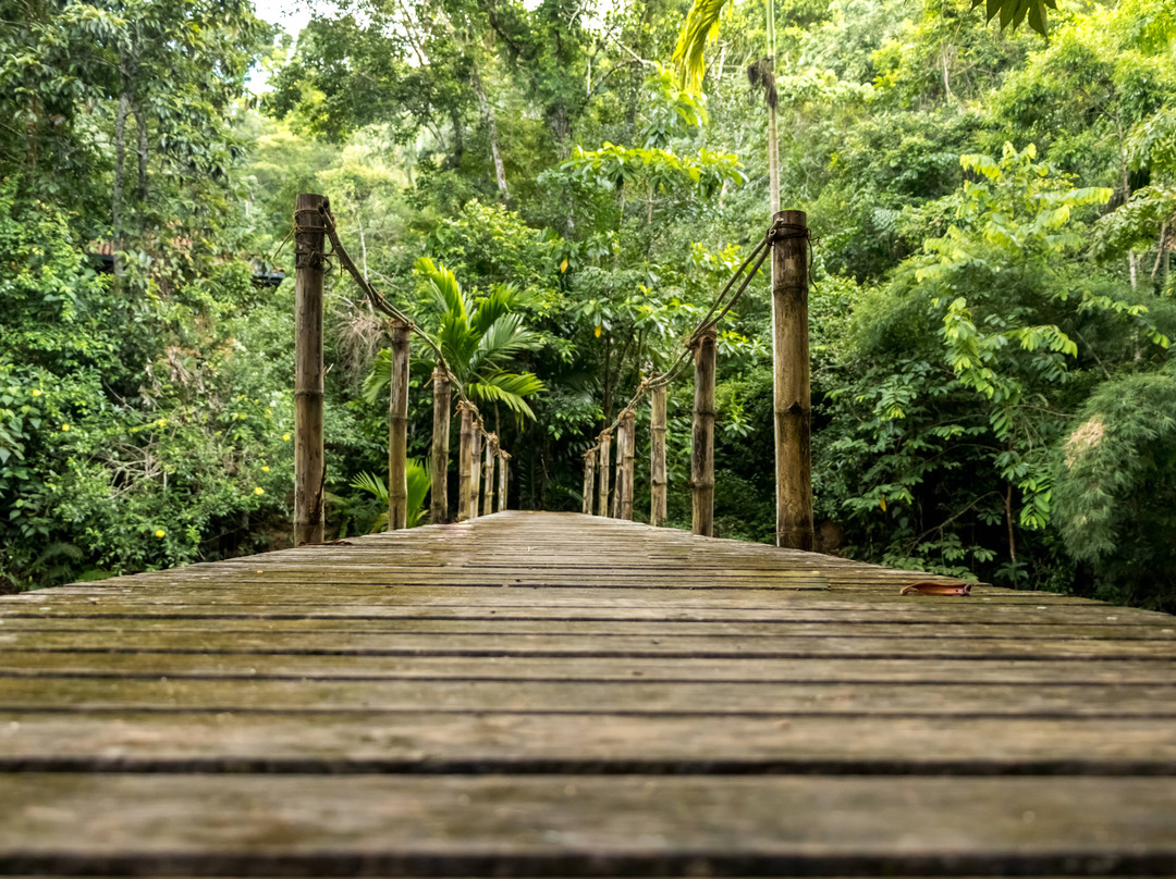 Kingdom Secret主图