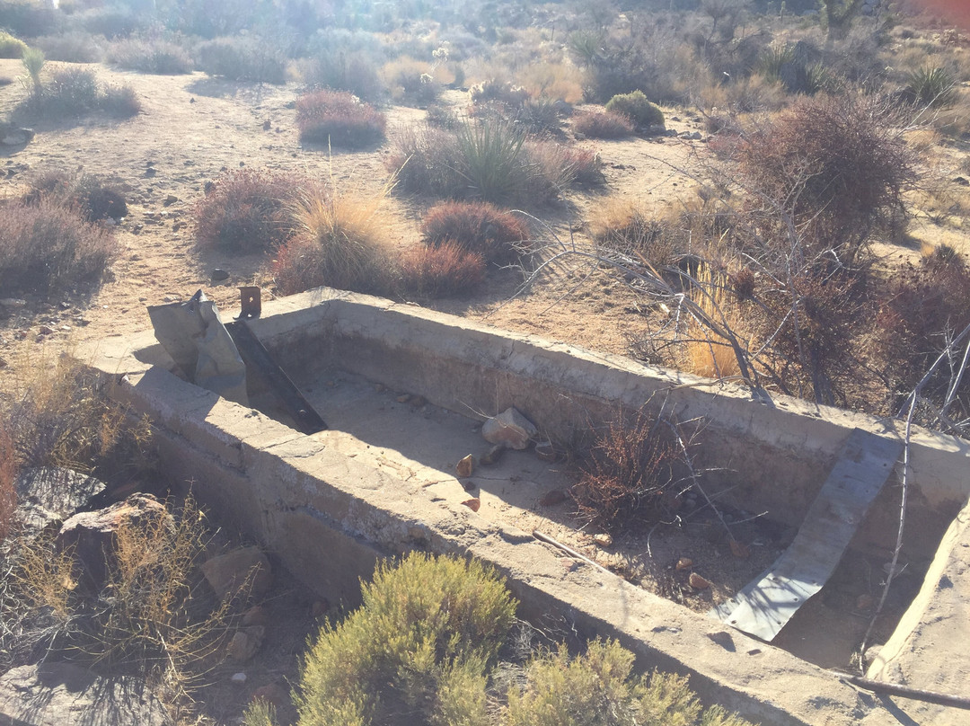 Ryan Ranch Homestead Site-约书亚树国家公园必去景点